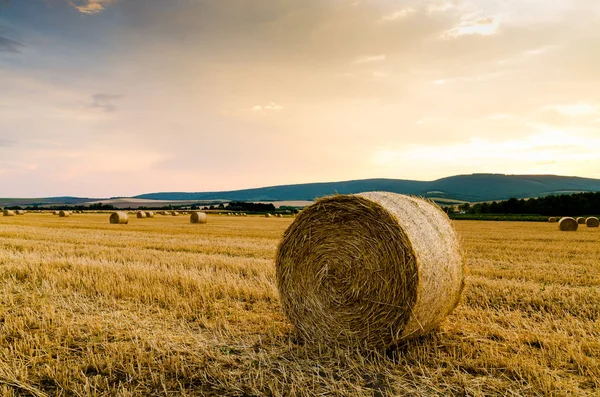 Balla di fieno sul campo — Foto Stock