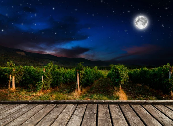 Grape field at night — Stock Photo, Image