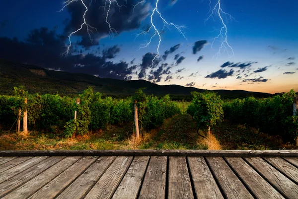 Tordenvær med lyn i felt – stockfoto