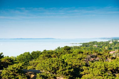 Balaton Gölü ve yeşil ağaçlar