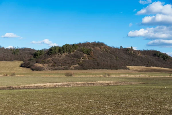 yeşil çayır yıldırım