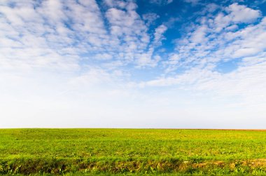 yaz yeşil çiftlik alanı 