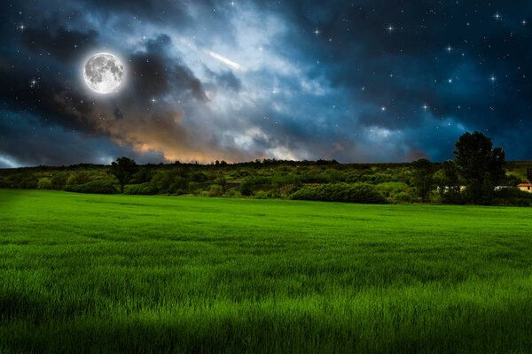 Green field near forest with moon in beautiful night sky
