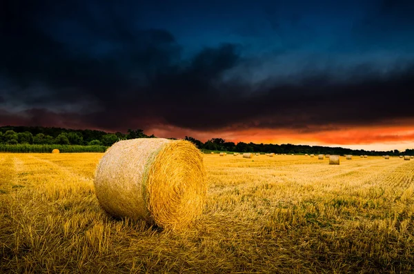 Heuballen auf Feld — Stockfoto