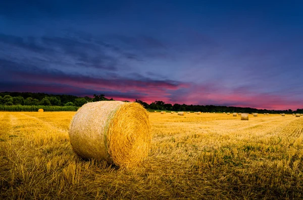 Heuballen auf Feld — Stockfoto