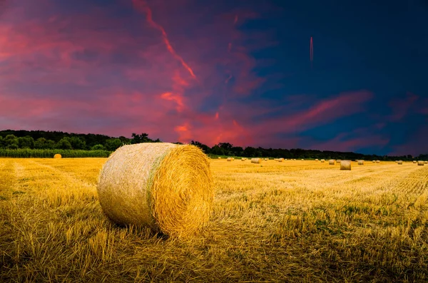 Hay bales on field — Stock Photo, Image