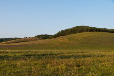 sonbahar alan ve mavi gökyüzü