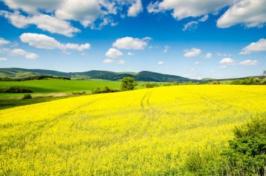 güzel tecavüz alan ve mavi gökyüzü