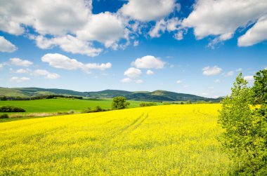 güzel tecavüz alan ve mavi gökyüzü