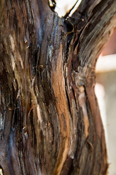 Struttura e sfondo del legno — Foto Stock