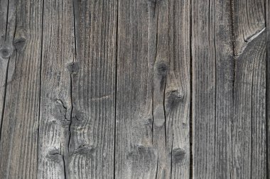 Ahşap doku fotoğraf