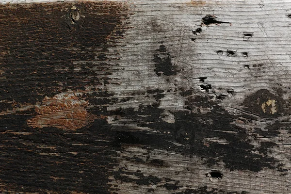 Texture di legno fotografia — Foto Stock