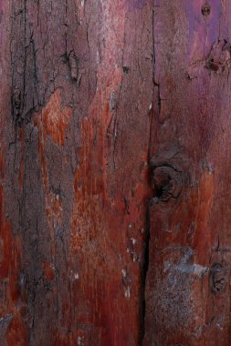 ahşap arka plan ve doku