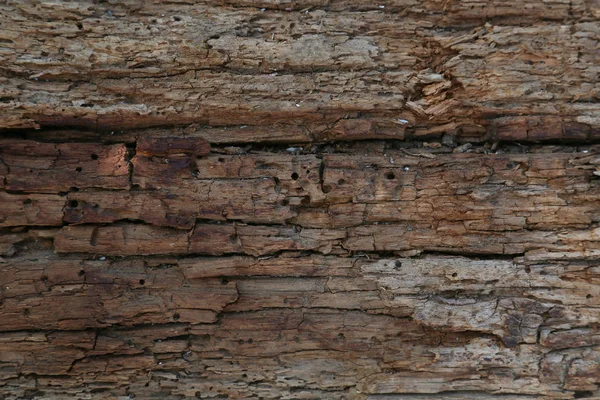 Wooden background and texture — Stock Photo, Image