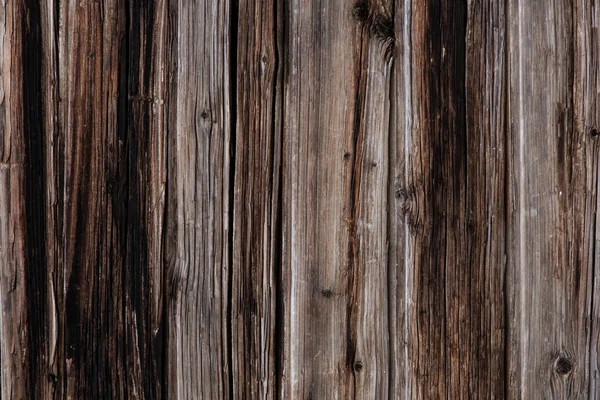 Текстура дерева і фон — стокове фото