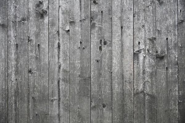 Текстура дерева и фон — стоковое фото