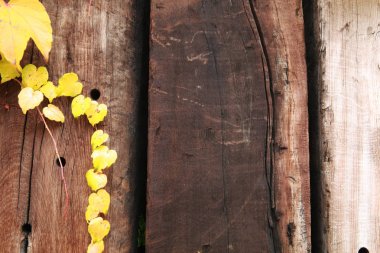 Diş araçları izole arka plan