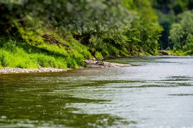 Polonya 'nın Pieniny Milli Parkı' ndaki Dunajec nehri boyunca yüzen Dunajec Nehri, Polonya 'da tekne raftingi için popüler bir turistik bölge.