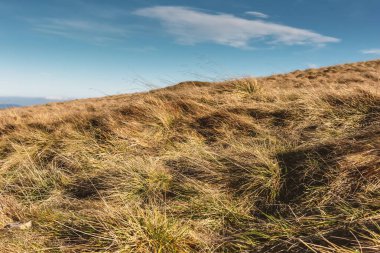 Tepedeki çimen tarlası ve arka plandaki gökyüzü.