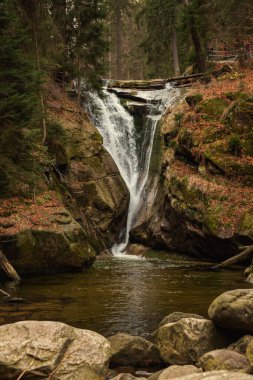 Sonbahar derin ormanlarında şelale. Doğal arka plan. Karpacz, Polonya, Avrupa