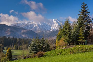 Tatra dağ vadisi. Yerel seyahat konsepti. Polonya, Tatra