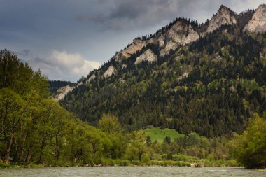 Dağ yamacının yanındaki nehirde orman var. Vahşi doğa. Lockal seyahat ediyor. Polonya, Avrupa