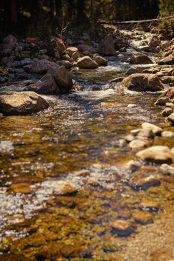 Baharda dağ nehri. Tatra dağları. Polonya, Avrupa. Yerel seyahat kavramı