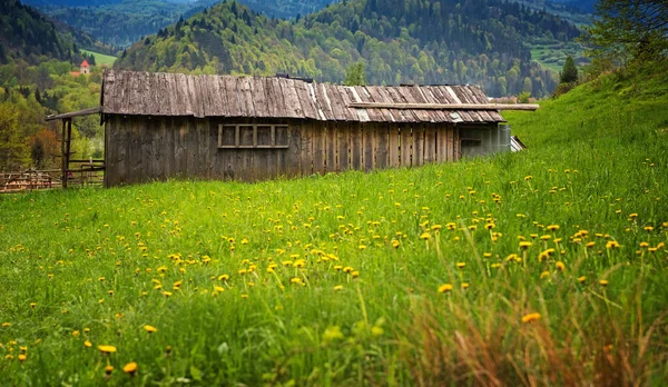 Houten Hut Polen Tatra Lokaal Reisconcept — Stockfoto
