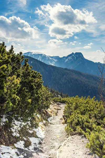 Drogi Uprawiania Turystyki Pieszej Tatrach Malowniczy Widok Tatry Polsce Lokalna — Zdjęcie stockowe