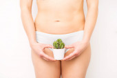 Frau mit einem Kaktus im Topf auf weißem Hintergrund, Epilationskonzept, Intimhygiene. Gynäkologische Probleme