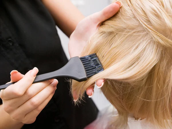 Hair coloring in a beauty salon in blonde. Hairdressing services.