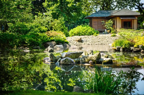 Jardín Japonés Verano Hermosa Naturaleza Parque Ciudad — Foto de Stock