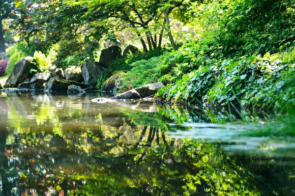 Jardín Japonés Verano Hermosa Naturaleza Parque Ciudad — Foto de Stock