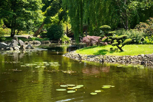 Jardín Japonés Verano Hermosa Naturaleza Parque Ciudad — Foto de Stock
