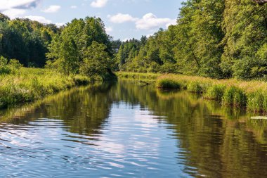 Orman nehir suyu yansıması manzarası. Kano ve orman turizmi