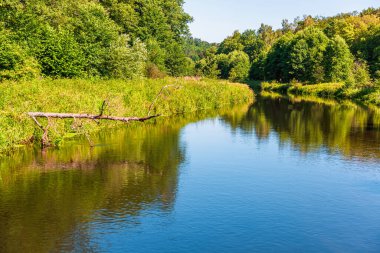 Orman nehir suyu yansıması manzarası. Kano ve orman turizmi