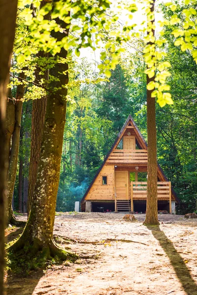 Τρανκίλ Φόρεστ Σκηνή Ξύλινο Σπίτι Ένα Δάσος — Φωτογραφία Αρχείου