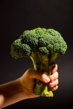 Siyah arka planda taze yeşil brokoli tutan insan eli.