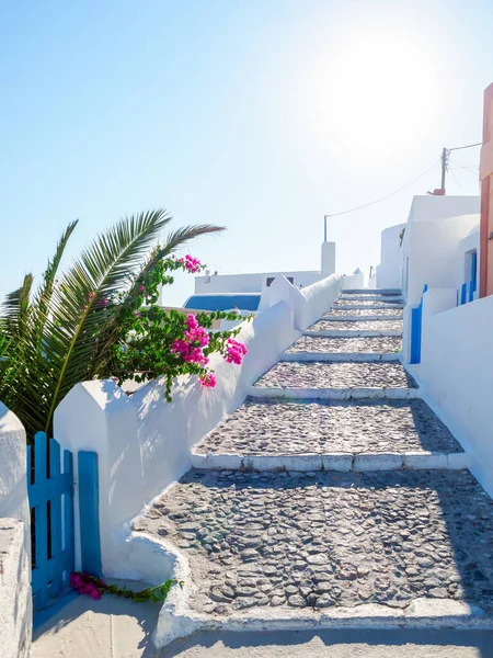 Prachtige Gezellige Santorini Eiland Straat Santorini Cycladen Griekenland — Stockfoto