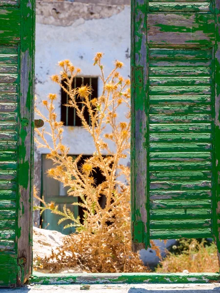 Opuszczony Widok Wyspy Santorini Cyklady Grecja Zielona Tekstura Drewniana — Zdjęcie stockowe
