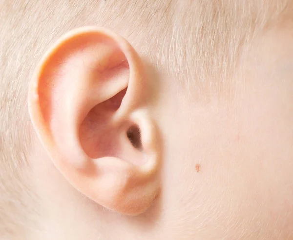 人間の耳のクローズアップ写真 マクロ写真 — ストック写真