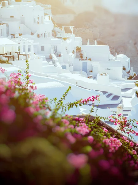 Maison Traditionnelle Grotte Blanche Sur Île Santorin Santorin Cyclades Grèce — Photo