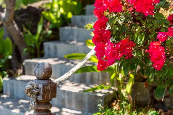 Taş adımlar. Dışarıdaki merdivenler Asya tarzı iç mekan. Lüks bir otel otelinin içerisi. Bali, Endonezya