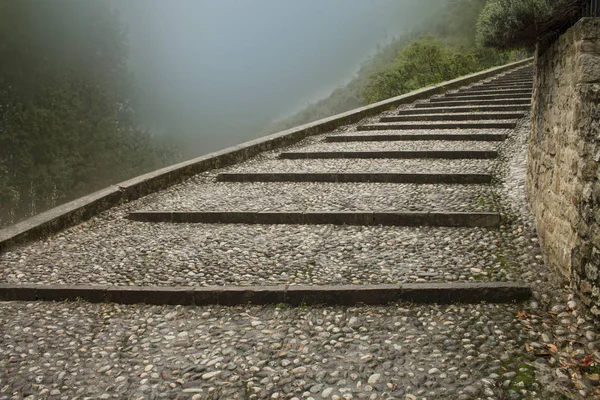 Vieja escalera entre la naturaleza a través del paso —  Fotos de Stock