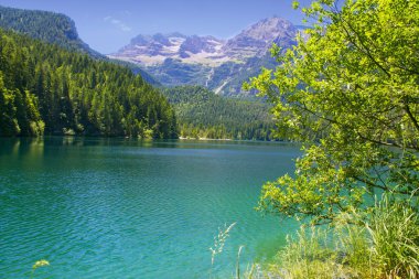 Lake Tovel Trentino Alto Adige, İtalya