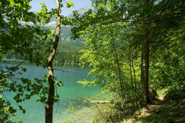 Lake Tovel Trentino Alto Adige Italythe Crystal Water Mountain Lake — Stock Photo, Image