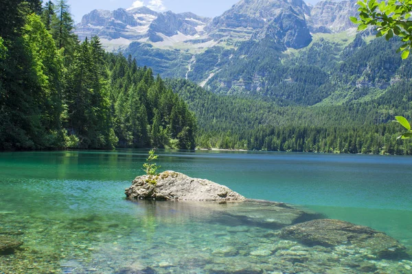 Itálie, Alto Adige: Odraz v jezírku Tovel. Stock Fotografie