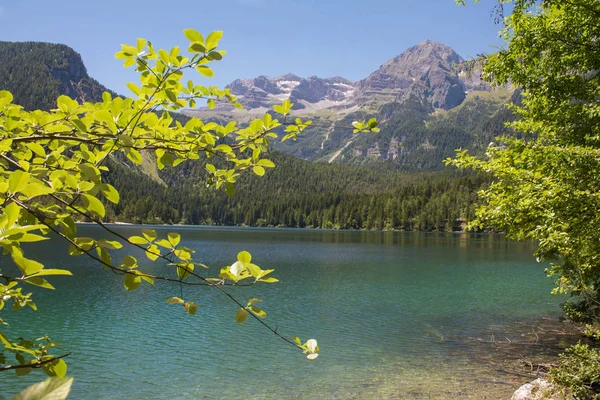 Italien, alto adige: Spiegelung im Schottersee. — Stockfoto