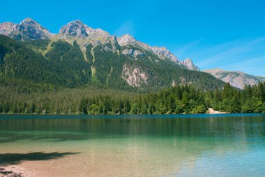 Tovel Lake, Trentino İtalya sonbahar manzarası.
