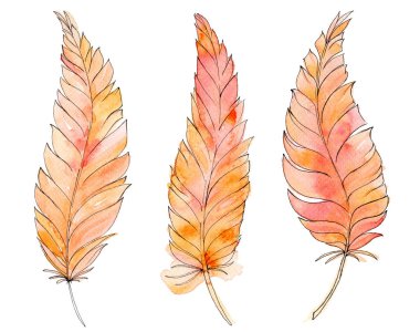 Beyaz arkaplanda izole edilmiş sarı kırmızı suluboya el tüyleri.